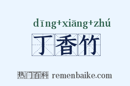 丁香竹是什么意思的图片